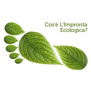 Rinnovabili • Impronta ecologica