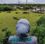 Deforestazione, Greenpeace inchioda i big dell'olio di palma