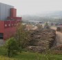Biomassa, gli obiettivi UE aiutano la deforestazione