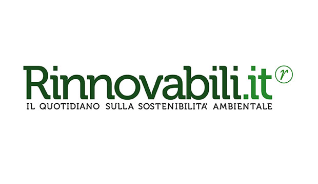 Shopper riutilizzabili NaturaSì Legambiente
