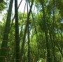 cannua-resort-sostenibile-1
