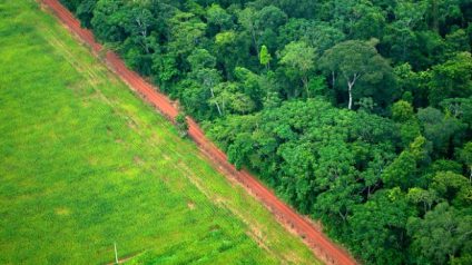 Rinnovabili • deforestazione amazzonia