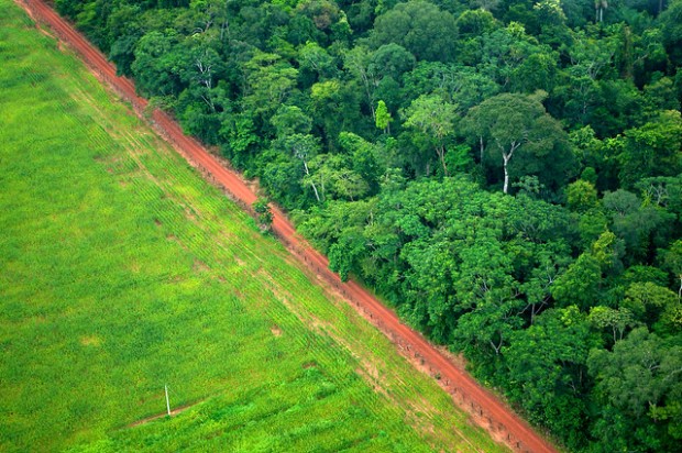 Rinnovabili • deforestazione amazzonia