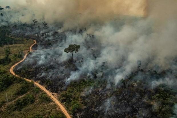Rinnovabili • incendi in Amazzonia
