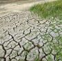 cambiamenti climatici suolo