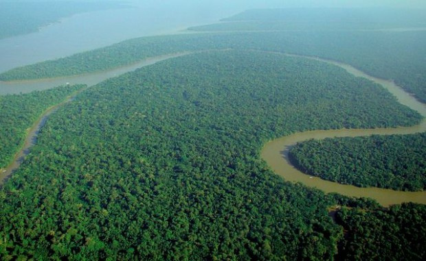 Rinnovabili • deforestazione amazzonica