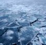 ghiacci mare artico