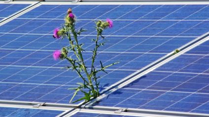 Rinnovabili • solare fotovoltaico