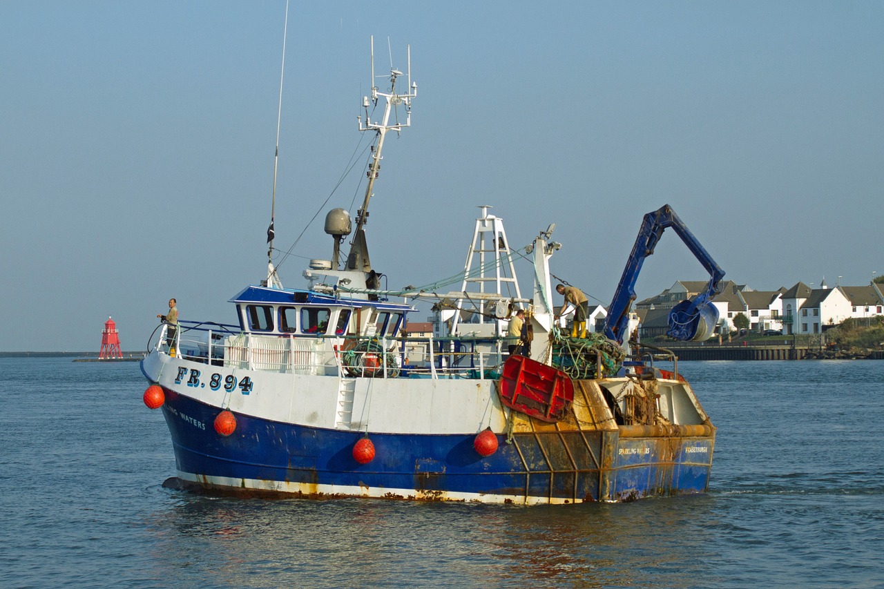 Rinnovabili • Pesca sostenibili
