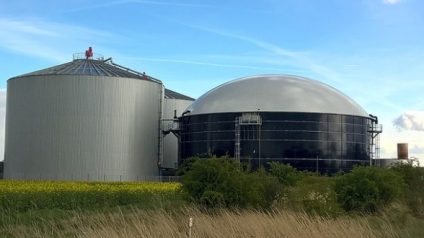 Rinnovabili • bilancio 2020 biogas