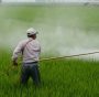 pesticidi dannosi