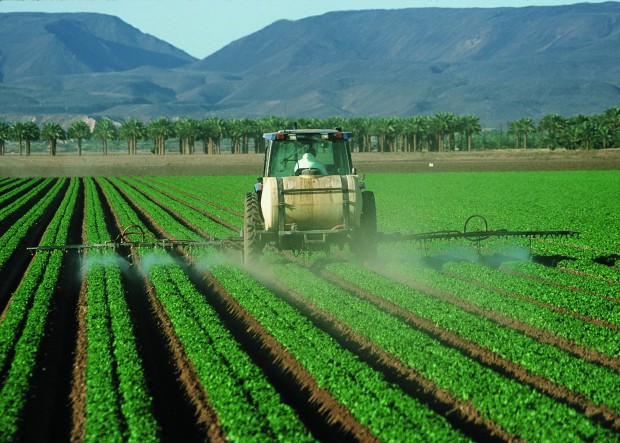 Rinnovabili • pesticidi altamente pericolosi
