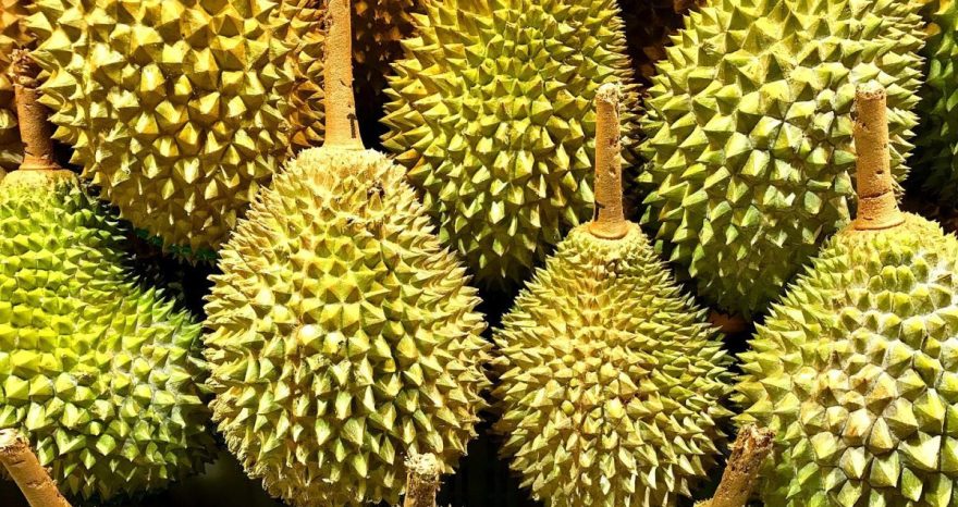 Rinnovabili • accumulo elettrico durian