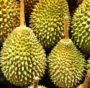 accumulo elettrico durian