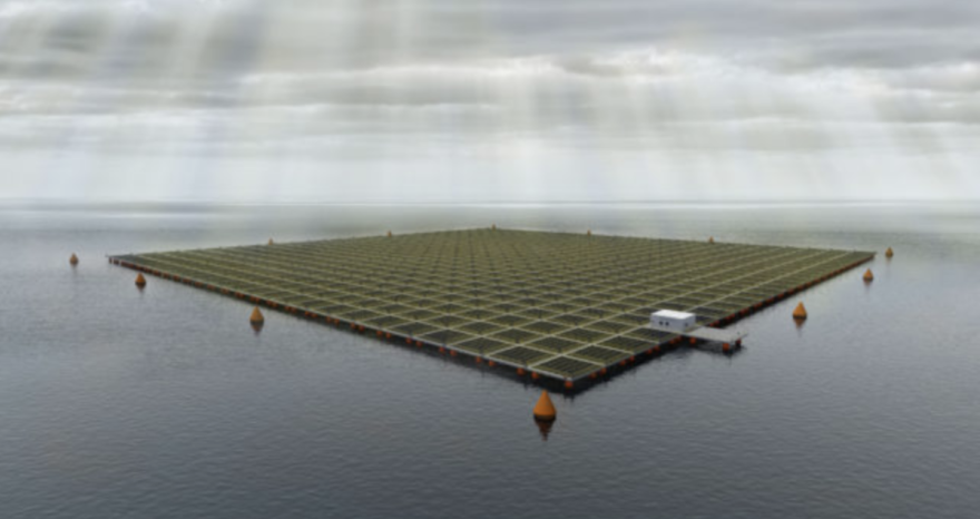 Rinnovabili • fotovoltaico offshore