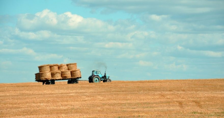 Rinnovabili • Settore agricolo