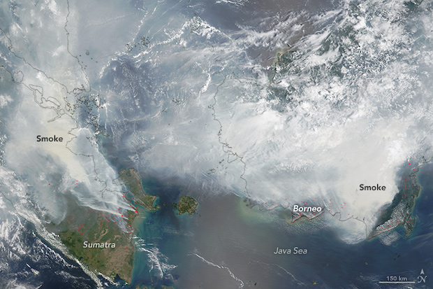 Rinnovabili • Incendi in Indonesia