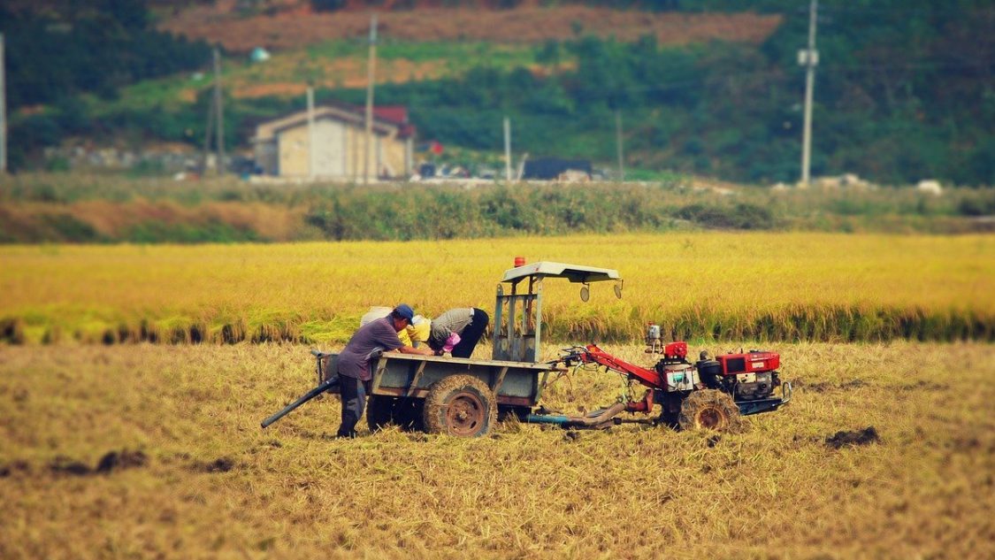 Rinnovabili • Lavoratori agricoli