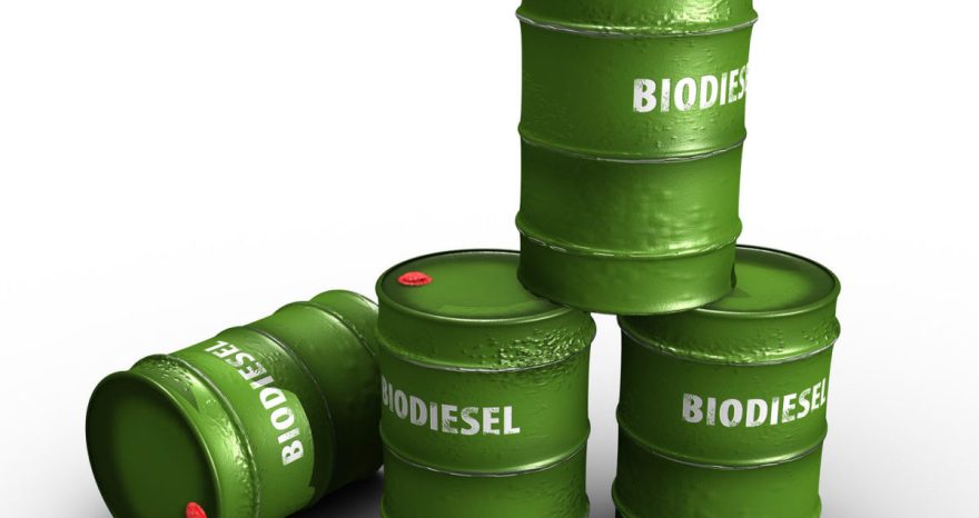 Rinnovabili • biodiesel argentino