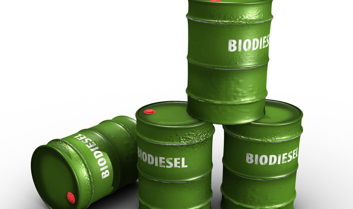 Rinnovabili • biodiesel argentino