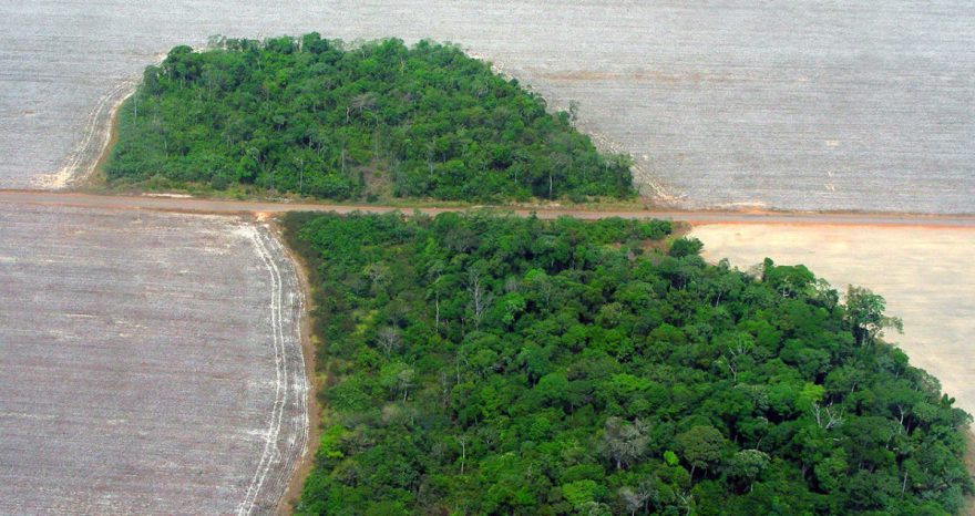 Rinnovabili • deforestazione selvaggia amazzonia
