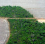 deforestazione selvaggia amazzonia