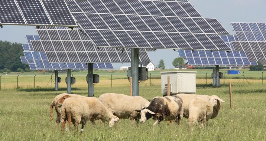 Rinnovabili • Fotovoltaico e agricoltura