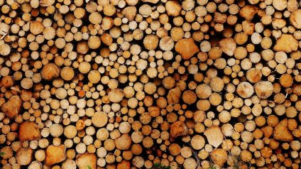 Rinnovabili • Biomasse italiane