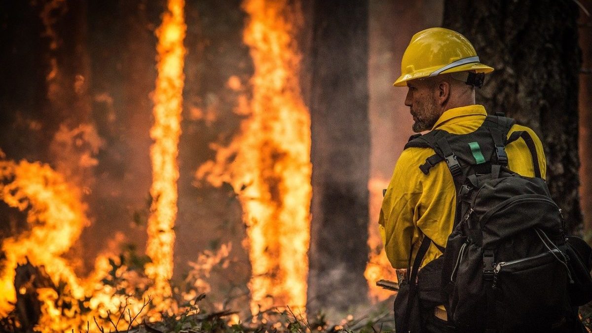 Rinnovabili • Incendi in California