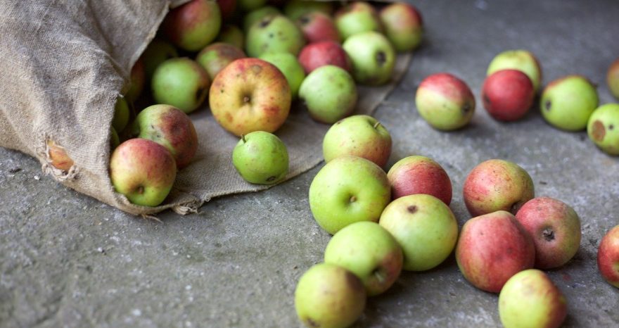 Rinnovabili • ridurre gli sprechi alimentari