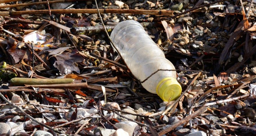 Rinnovabili • degradazione della plastica