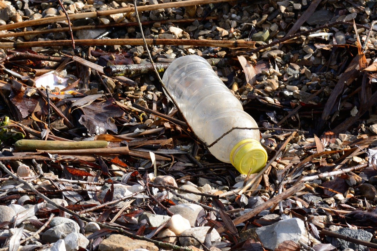 Rinnovabili • degradazione della plastica