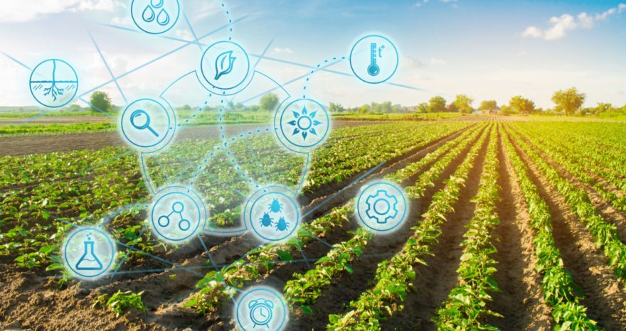 Rinnovabili • La tecnologia nell’agricoltura di domani, arriva Agridigit