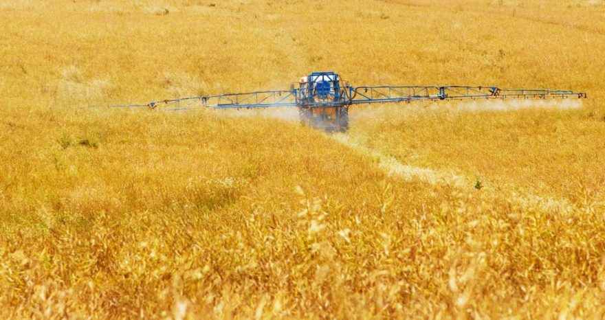Rinnovabili • Pesticidi: Corte di giustizia UE, gli Stati possono bandire le sostanze dannose