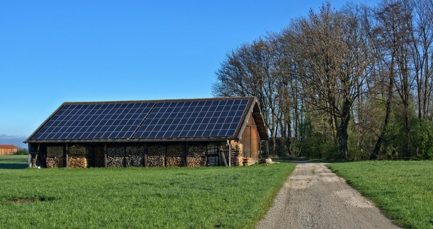 Rinnovabili • fotovoltaico in agricoltura