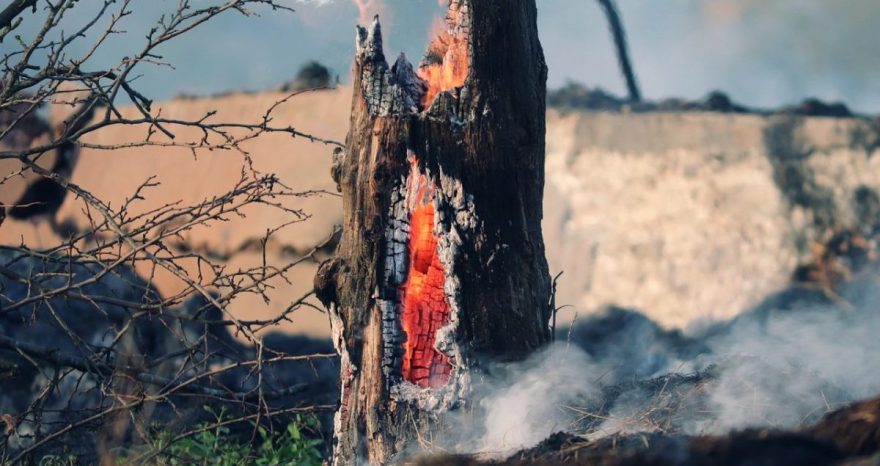 Rinnovabili • incendi boschivi in Europa