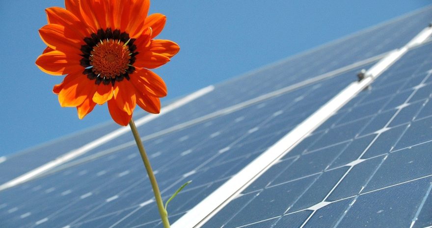 Rinnovabili • Alleanza per il fotovoltaico in Italia