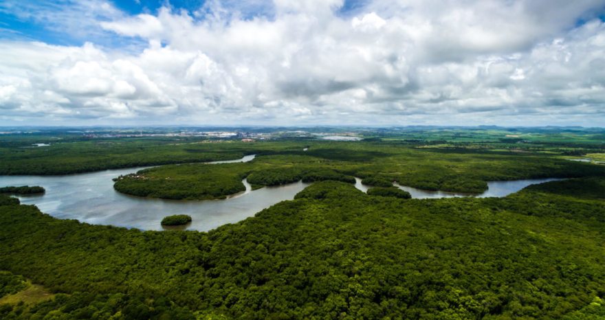 Rinnovabili • Deforestazione: Bolsonaro taglia i fondi 2021 per la protezione dell’ambiente