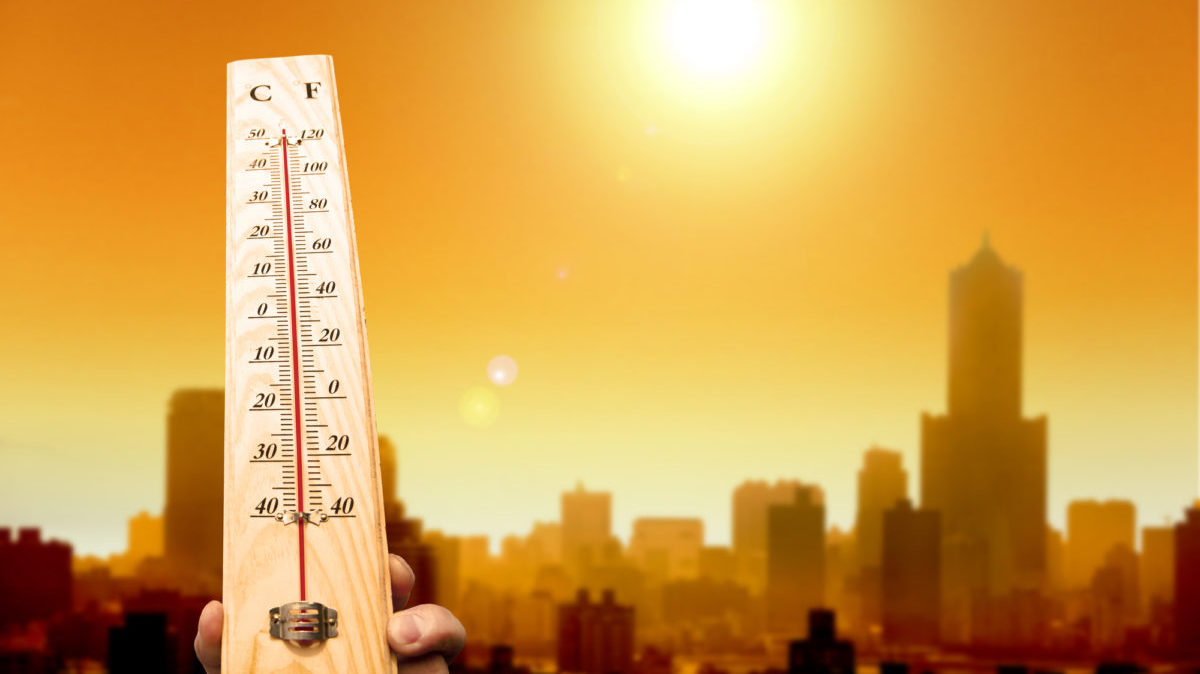 Riscaldamento globale: il 2020 è l’anno più caldo della storia
