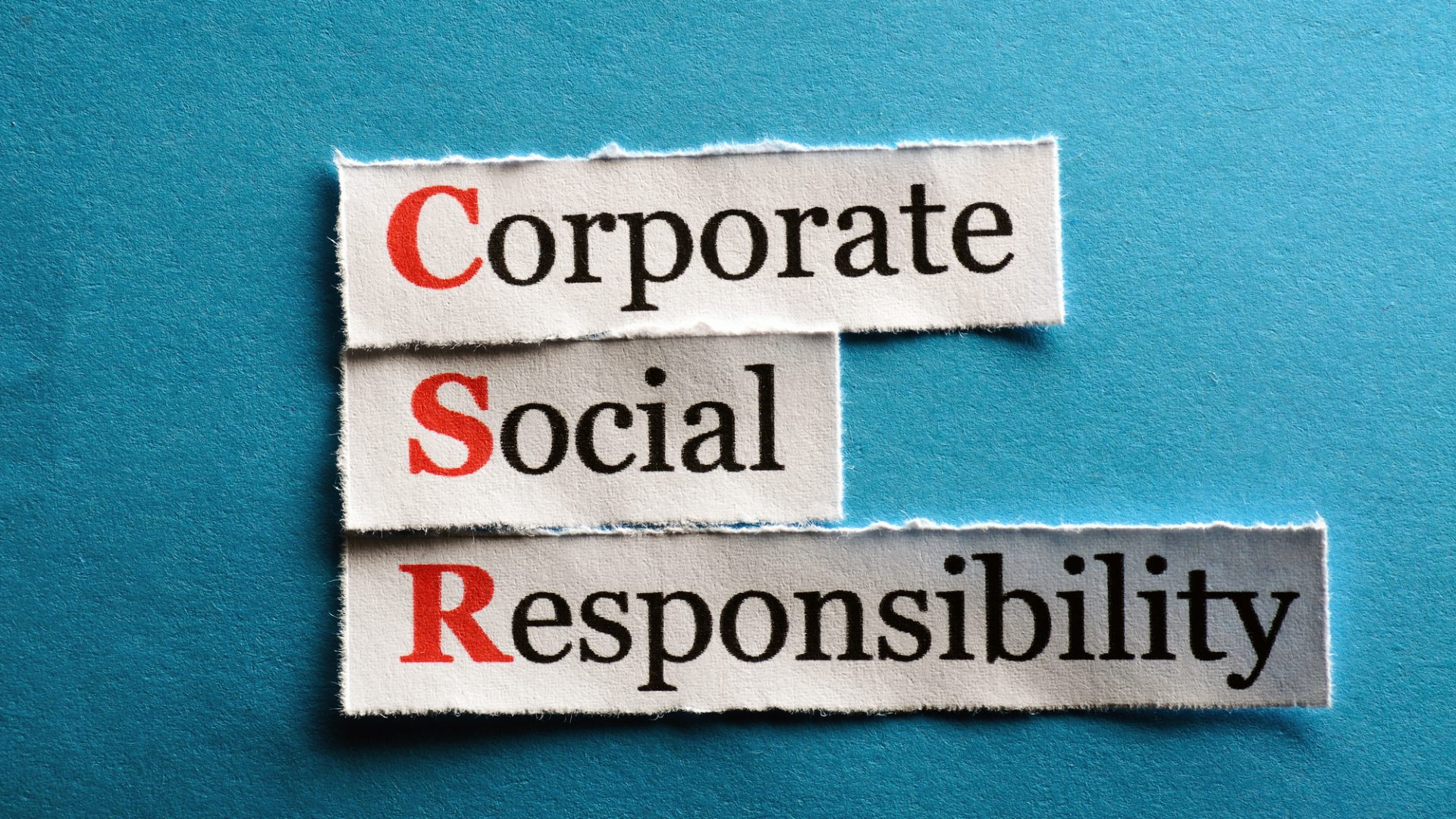Rinnovabili • Sostenibilità sociale d'impresa
