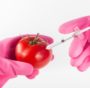 Nuovi OGM: la Gran Bretagna lancia la consultazione pubblica