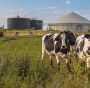 Impianti a biogas agricolo