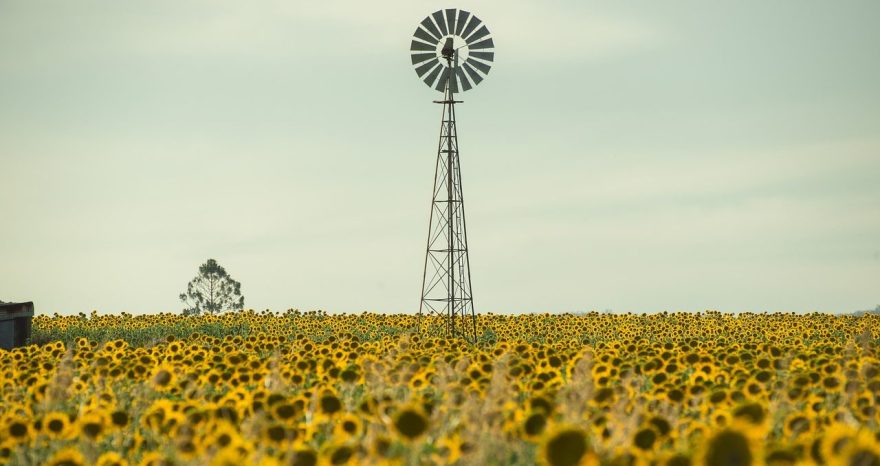 Rinnovabili • Impatti dei cambiamenti climatici sull'agricoltura