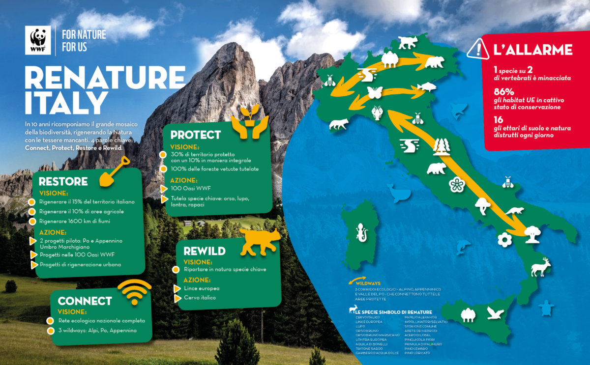 Il Wwf lancia una nuova campagna, 10 anni per rigenerare la natura italiana  