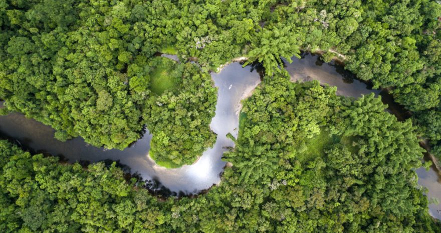 Rinnovabili • Amazzonia: la foresta pluviale ormai è un contributore netto di gas serra