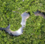 Amazzonia: la foresta pluviale ormai è un contributore netto di gas serra