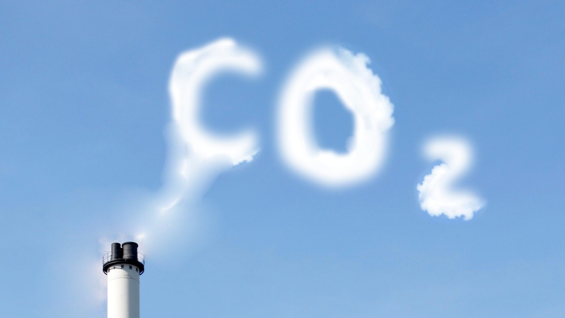 Rinnovabili • Aste della CO2