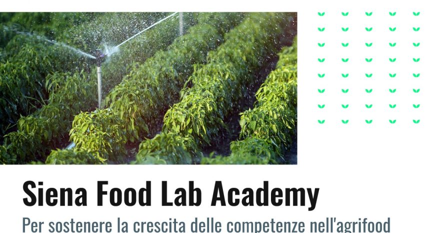 Rinnovabili • siena food lab academy
