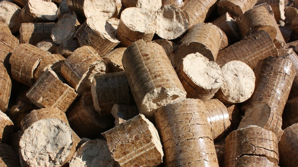 Biomasse, il boom può raddoppiare lo stress idrico globale