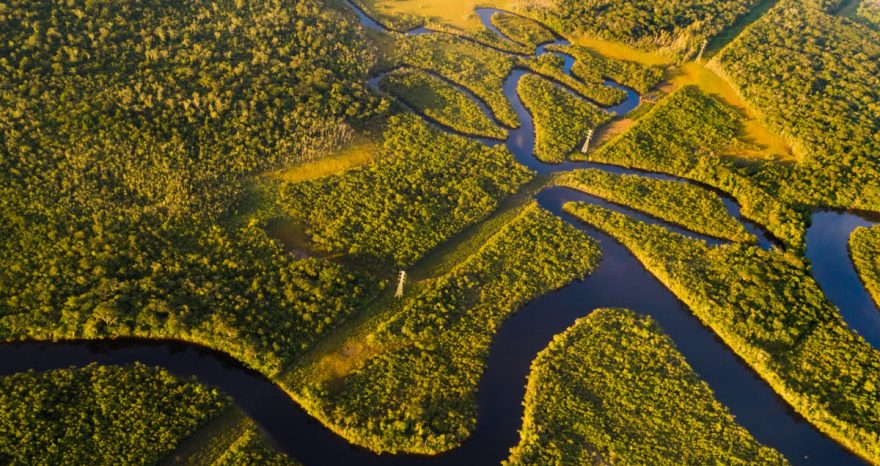 Rinnovabili • Deforestazione, i negoziati USA-Brasile sull’Amazzonia rallentano